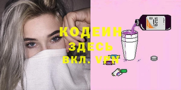 индика Ладушкин