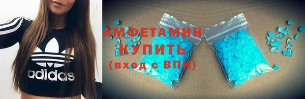 индика Ладушкин