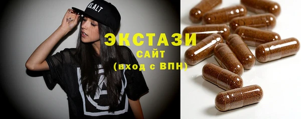 индика Ладушкин