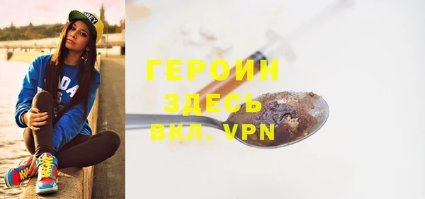 индика Ладушкин