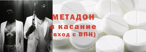 индика Ладушкин