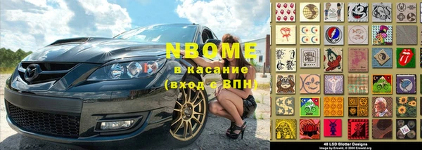 индика Ладушкин