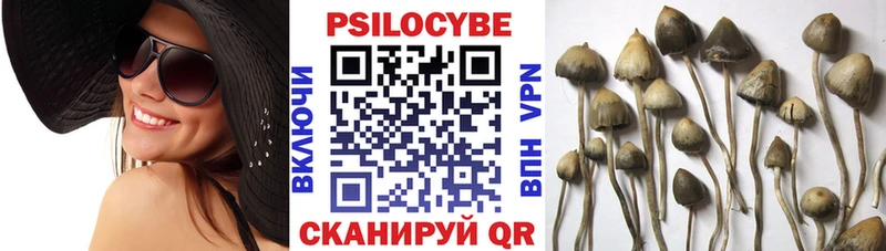 Купить закладки Пустошка Галлюциногенные грибы GOLDEN TEACHER